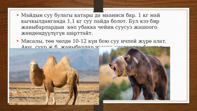 Майдын суу булагы катары да мааниси бар. 1 кг май кычкылданганда 1,1 кг суу пайда болот. Бул кээ бир жаныбарлардын көп убакка чейин суусуз жашоого жөндөмдүүлүгүн шарттайт. Мисалы, төө чөлдө 10-12 күн бою суу ичпей жүрө алат. Аюу, суур ж.б. жаныбарлар чээнге киргенден баштап эки айдан ашык суу ичишпейт. 