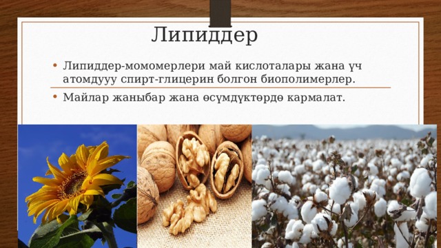 Липиддер Липиддер-момомерлери май кислоталары жана үч атомдууу спирт-глицерин болгон биополимерлер. Майлар жаныбар жана өсүмдүктөрдө кармалат. 
