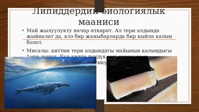 Липиддердин биологиялык мааниси Май жылуулукту начар өткөрөт. Ал тери алдында жыйналат да, кээ бир жаныбарларда бир кыйла калың болот. Мисалы: киттин тери алдындагы майынын калыңдыгы 1мге жетет. Бул китти түндүк муз океанынын деңиздеринде жашоого мүмкүндүк берет. 