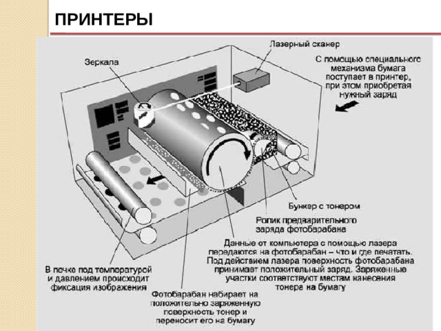 ПРИНТЕРЫ Так как лазерные принтеры формируют изображение постранично, а не построчно, то и скорость их работы достаточно высока. 