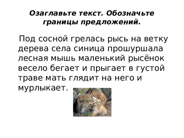 Озаглавьте текст. Обозначьте границы предложений.  Под сосной грелась рысь на ветку дерева села синица прошуршала лесная мышь маленький рысёнок весело бегает и прыгает в густой траве мать глядит на него и мурлыкает. 