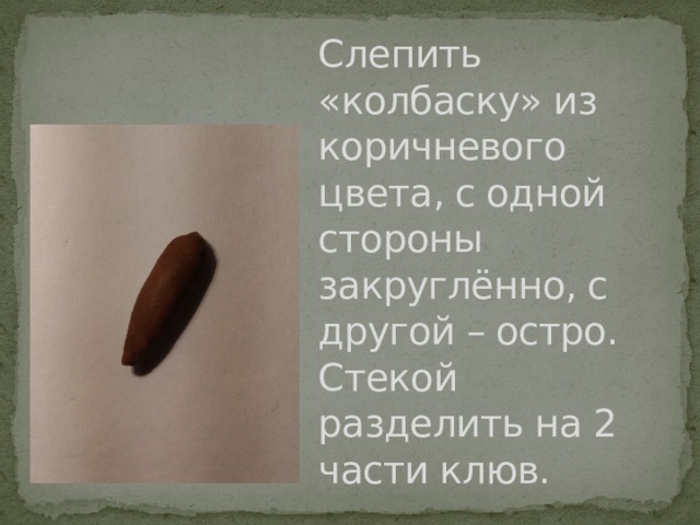 Слепить «колбаску» из коричневого цвета, с одной стороны закруглённо, с другой – остро. Стекой разделить на 2 части клюв. 