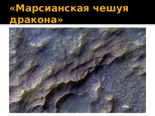 «Марсианская чешуя дракона» 
