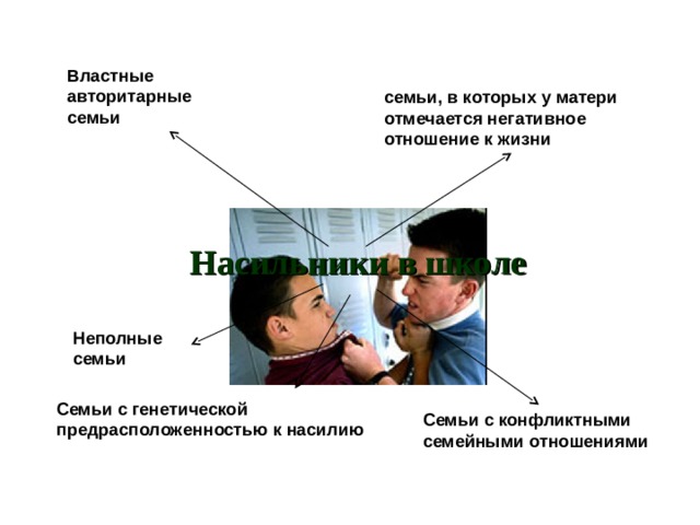 Властные авторитарные семьи семьи, в которых у матери отмечается негативное отношение к жизни Насильники в школе Неполные семьи Семьи с генетической предрасположенностью к насилию Семьи с конфликтными семейными отношениями 