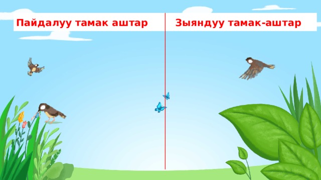 Пайдалуу тамак аштар Зыяндуу тамак-аштар 