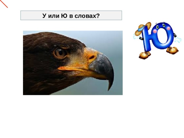 У или Ю в словах? 