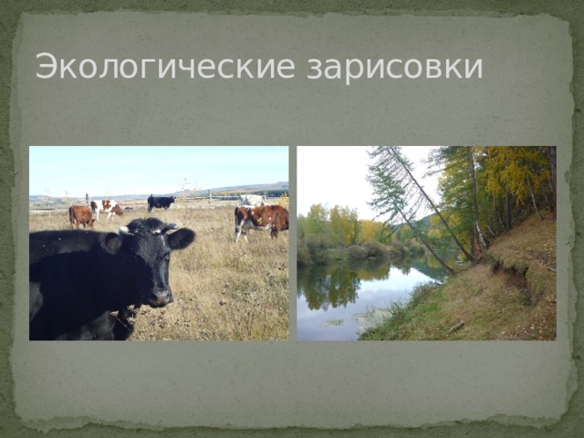 Экологические зарисовки 