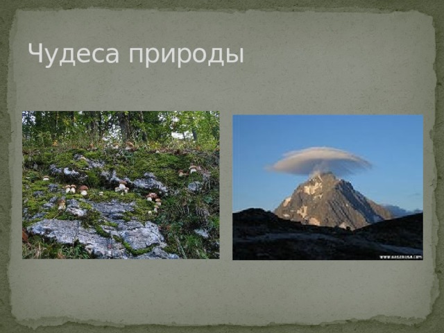 Чудеса природы 