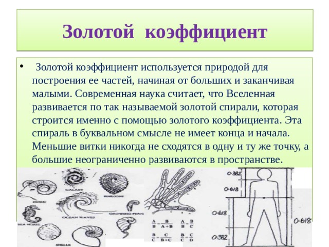 Золотой коэффициент