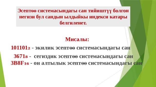 Эсептөө системасындагы сан тийиштүү болгон негизи бул сандын ылдыйкы индекси катары белгиленет.  Мисалы: 101101₂ - экилик эсептөө системасындагы сан  3671₈  - сегиздик эсептөө системасындагы сан 3B8F₁₆ - он алтылык эсептөө системасындагы сан 