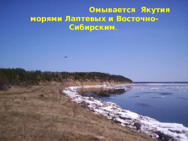  Омывается Якутия морями Лаптевых и Восточно-Сибирским . 