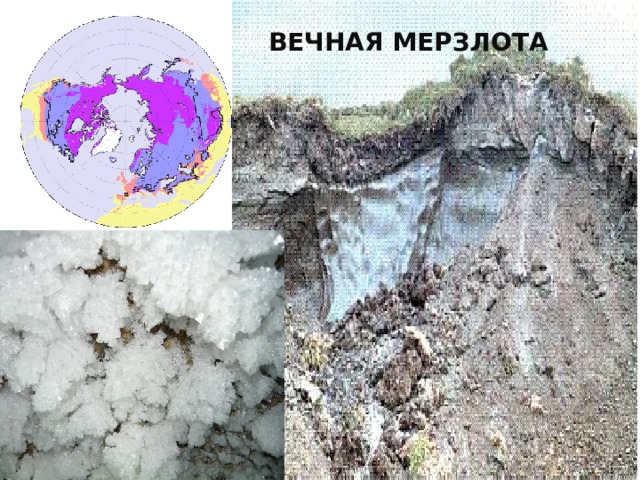 Вечная мерзлота 