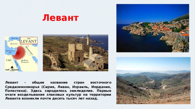 Левант  Левант - общее название стран восточного Средиземноморья (Сирия, Ливан, Израиль, Иордания, Палестина). Здесь зародилось земледелие. Первые очаги возделывания злаковых культур на территории Леванта возникли почти десять тысяч лет назад. 