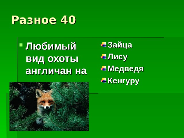Разное 40 Любимый вид охоты англичан на Зайца Лису Медведя Кенгуру   