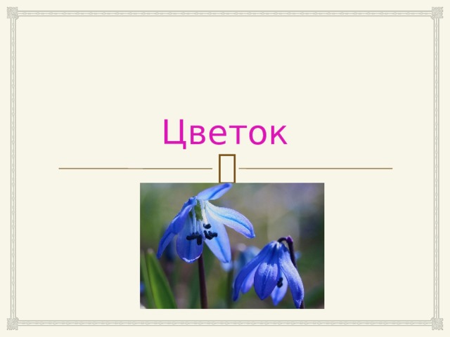 Цветок 