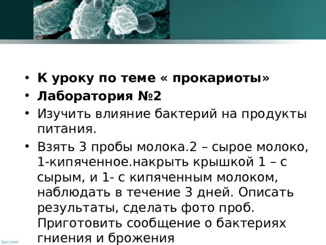 К уроку по теме « прокариоты» Лаборатория №2 Изучить влияние бактерий на продукты питания. Взять 3 пробы молока.2 – сырое молоко, 1-кипяченное.накрыть крышкой 1 – с сырым, и 1- с кипяченным молоком, наблюдать в течение 3 дней. Описать результаты, сделать фото проб. Приготовить сообщение о бактериях гниения и брожения 