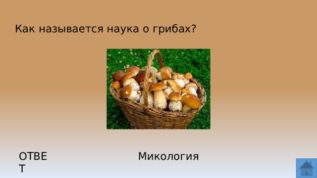 Как называется наука о грибах? ОТВЕТ Микология  