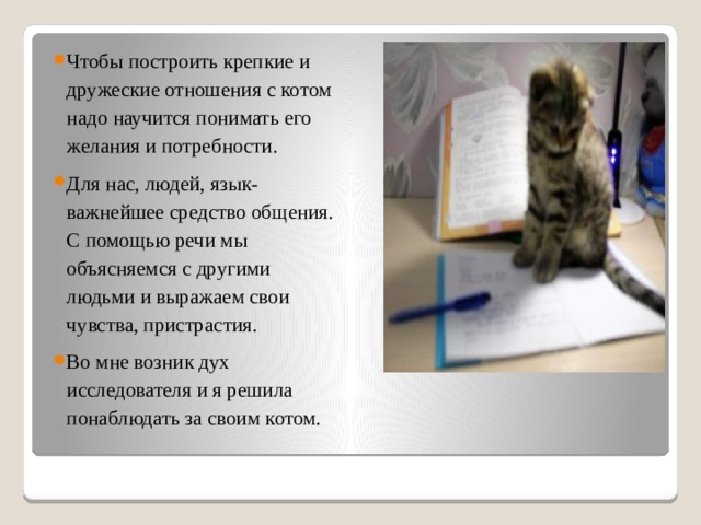 Чтобы построить крепкие и дружеские отношения с котом надо научится понимать его желания и потребности. Для нас, людей, язык-важнейшее средство общения. С помощью речи мы объясняемся с другими людьми и выражаем свои чувства, пристрастия. Во мне возник дух исследователя и я решила понаблюдать за своим котом. 