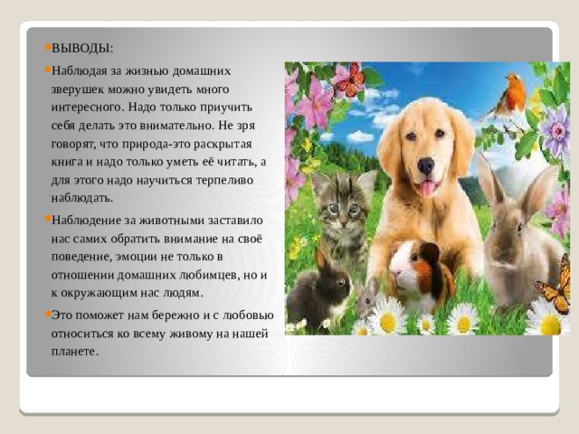 ВЫВОДЫ: Наблюдая за жизнью домашних зверушек можно увидеть много интересного. Надо только приучить себя делать это внимательно. Не зря говорят, что природа-это раскрытая книга и надо только уметь её читать, а для этого надо научиться терпеливо наблюдать. Наблюдение за животными заставило нас самих обратить внимание на своё поведение, эмоции не только в отношении домашних любимцев, но и к окружающим нас людям. Это поможет нам бережно и с любовью относиться ко всему живому на нашей планете. 