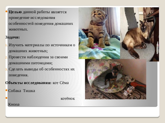 Целью данной работы является проведение исследования особенностей поведения домашних животных. Задачи: Изучить материалы по источникам о домашних животных; Провести наблюдения за своими домашними питомцами; Сделать выводы об особенностях их поведения. Объекты исследования: кот Сёма Собака Тишка  котёнок Кнопа 