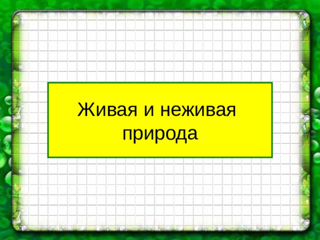 Живая и неживая  природа 