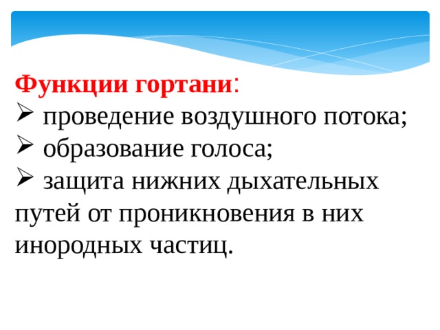 Функции гортани :  проведение воздушного потока;  образование голоса;  защита нижних дыхательных путей от проникновения в них инородных частиц. 