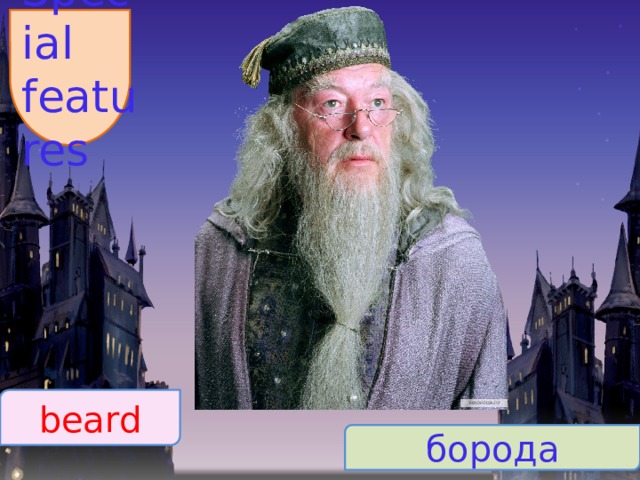 Special features beard борода