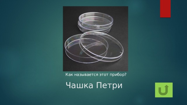 Как называется этот прибор? Чашка Петри 