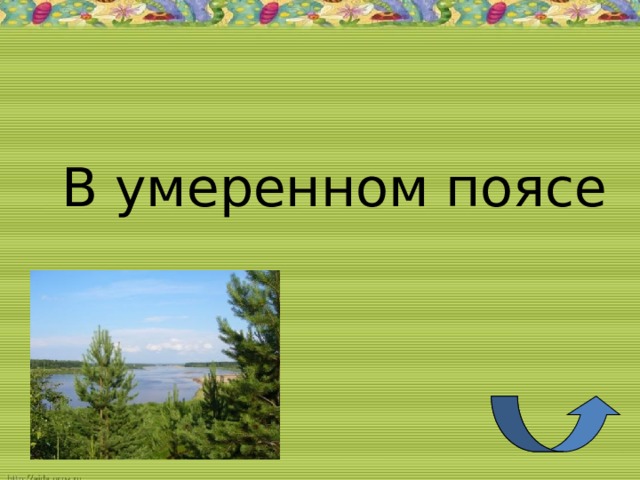 В умеренном поясе
