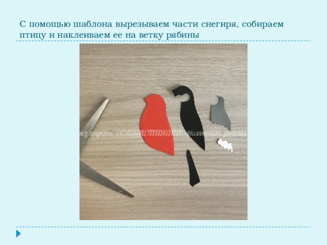  С помощью шаблона вырезываем части снегиря, собираем птицу и наклеиваем ее на ветку рябины 