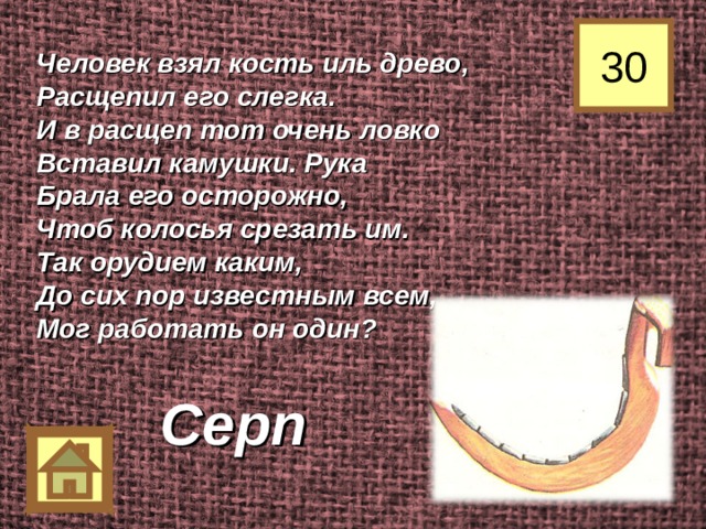30 Человек взял кость иль древо, Расщепил его слегка. И в расщеп тот очень ловко Вставил камушки. Рука Брала его осторожно, Чтоб колосья срезать им. Так орудием каким, До сих пор известным всем, Мог работать он один? Серп 
