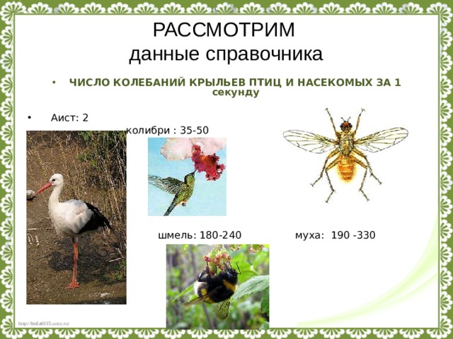 РАССМОТРИМ  данные справочника ЧИСЛО КОЛЕБАНИЙ КРЫЛЬЕВ ПТИЦ И НАСЕКОМЫХ ЗА 1 секунду   Аист: 2  колибри : 35-50  шмель: 180-240 муха: 190 -330 