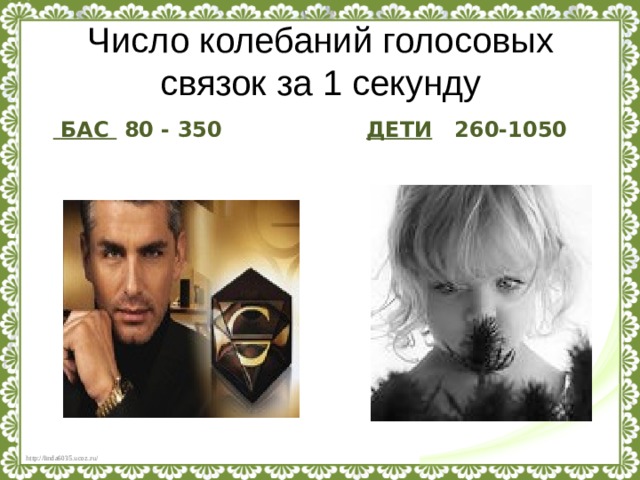 Число колебаний голосовых связок за 1 секунду   БАС 80 - 350 ДЕТИ 260-1050 