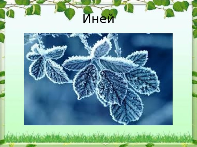 Иней 