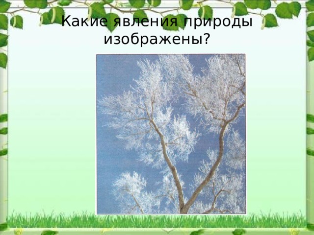 Какие явления природы изображены? 