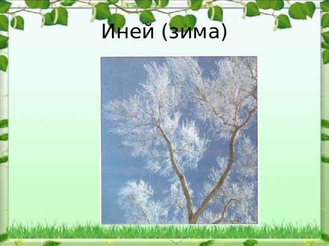 Иней (зима) 