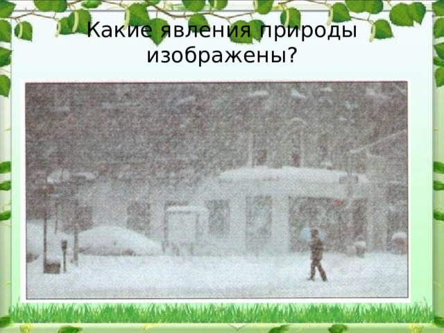 Какие явления природы изображены? 