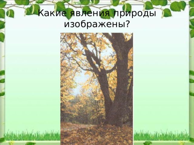 Какие явления природы изображены? 