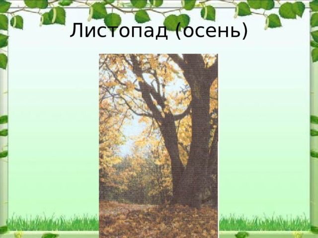 Листопад (осень) 