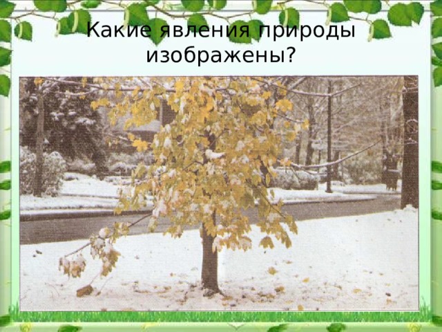 Какие явления природы изображены? 
