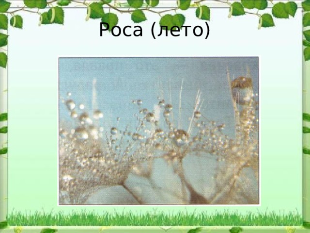 Роса (лето) 