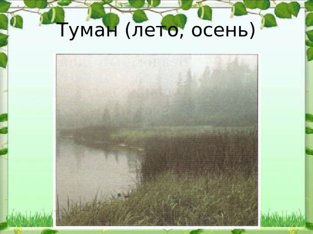 Туман (лето, осень) 