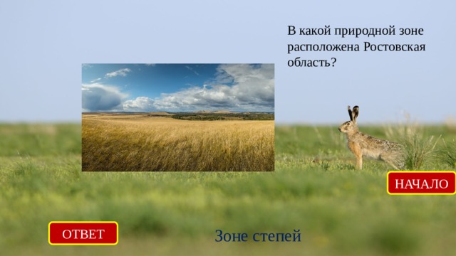 В какой природной зоне расположена Ростовская область? НАЧАЛО ОТВЕТ Зоне степей 