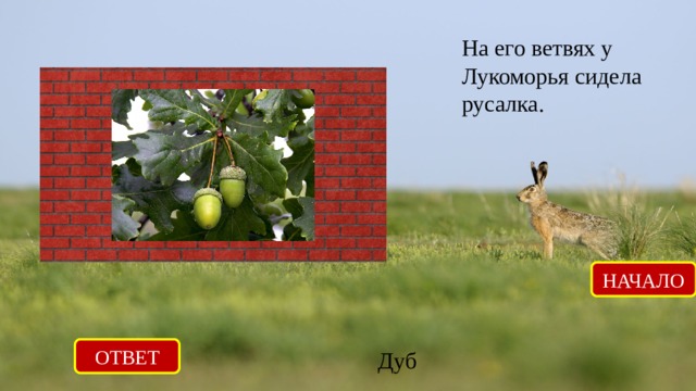 На его ветвях у Лукоморья сидела русалка. НАЧАЛО ОТВЕТ Дуб 