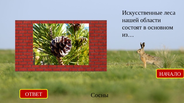 Искусственные леса нашей области состоят в основном из… НАЧАЛО ОТВЕТ Сосны 