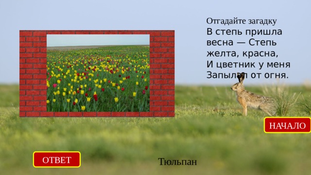 Отгадайте загадку В степь пришла весна — Степь желта, красна, И цветник у меня Запылал от огня.   НАЧАЛО ОТВЕТ Тюльпан 