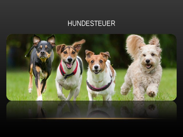 HUNDESTEUER 