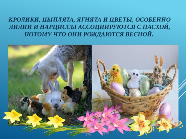 Кролики, цыплята, ягнята и цветы, особенно лилии и нарциссы ассоциируются с Пасхой, потому что они рождаются весной.  