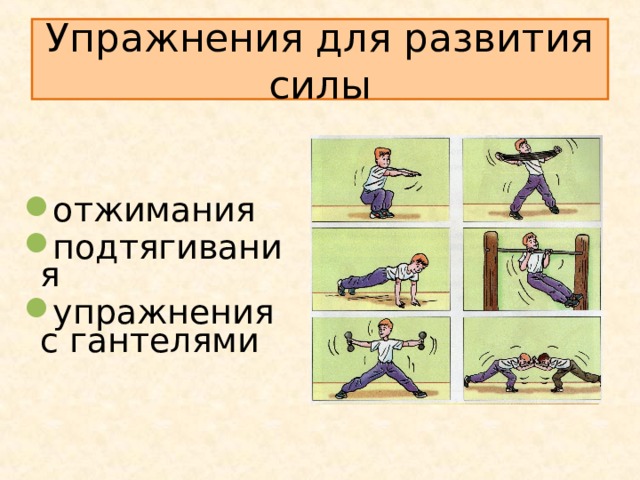 Упражнения для развития силы  отжимания подтягивания упражнения с гантелями 