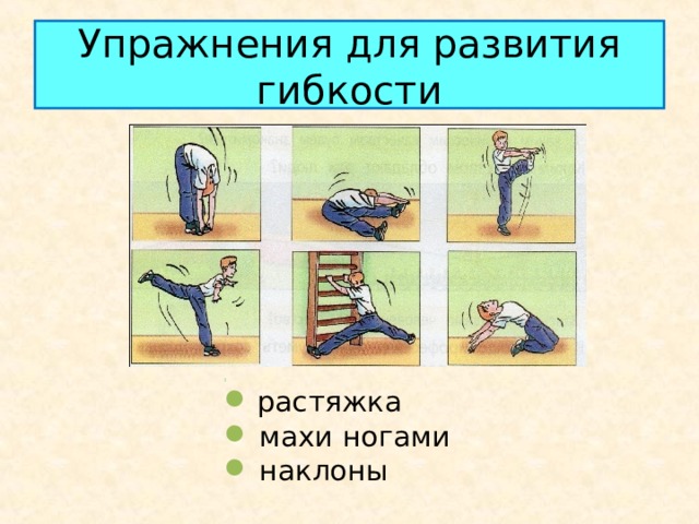 Упражнения для развития гибкости :  растяжка  махи ногами  наклоны 